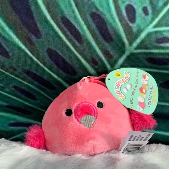 Clip Cookie Squishmallow | Poshmark